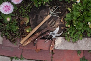 いくつかの花の隣の地面に横たわる園芸工具