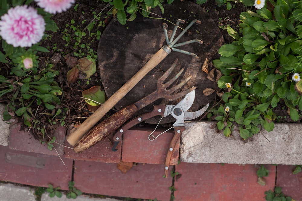 いくつかの花の隣の地面に横たわる園芸工具