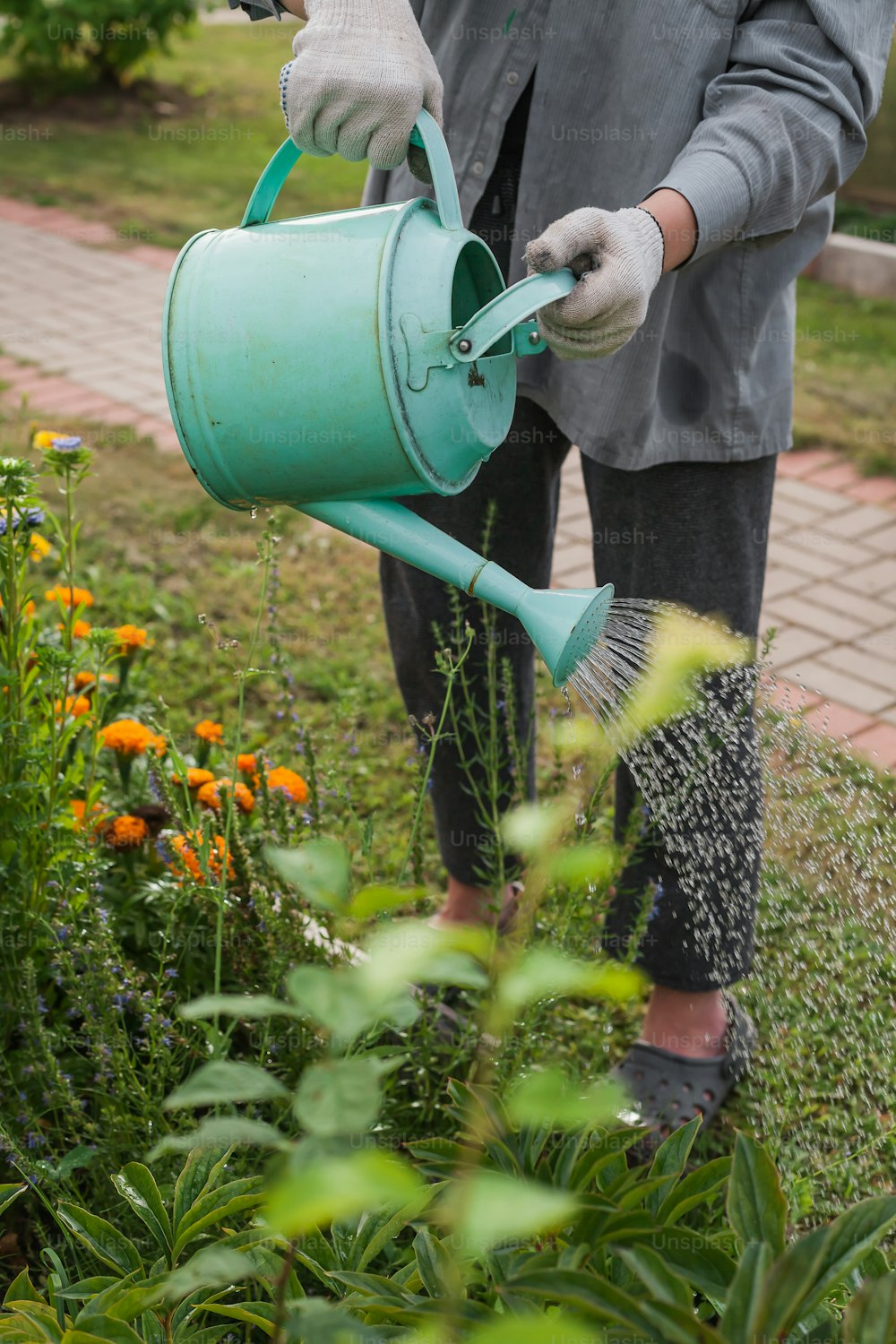 uma pessoa regando flores em um jardim