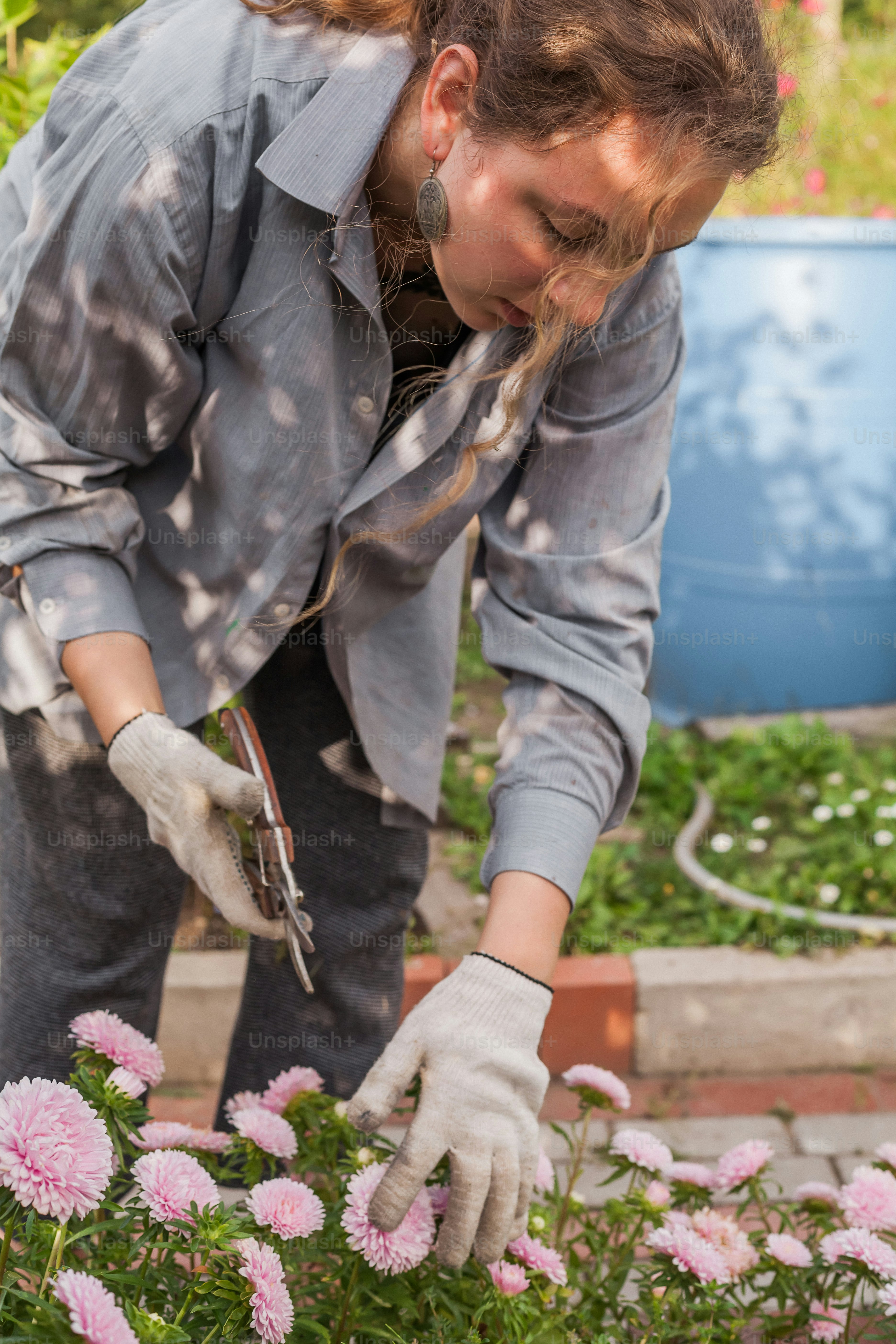 a woman is tending to some pink flowers