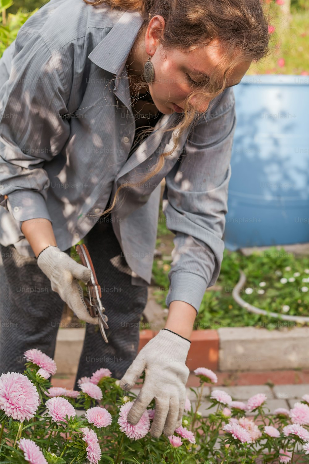Una mujer está cuidando unas flores rosadas