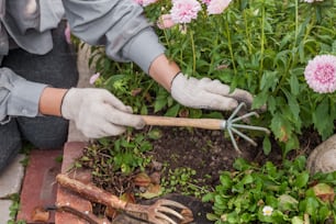 a person with gardening gloves and gardening tools in a garden