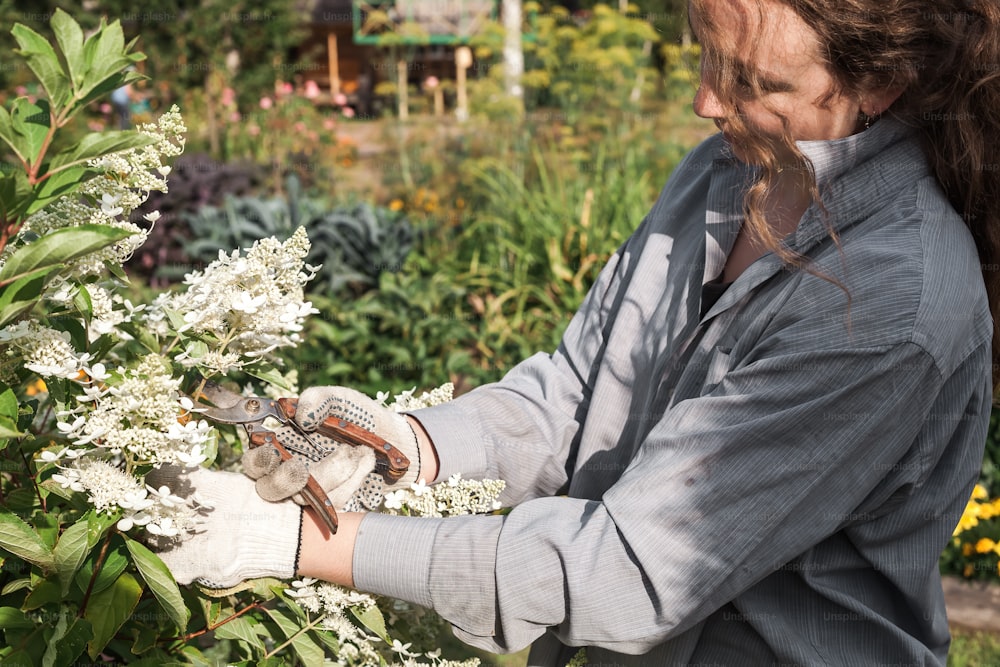 Una donna in un giardino che raccoglie fiori da un cespuglio