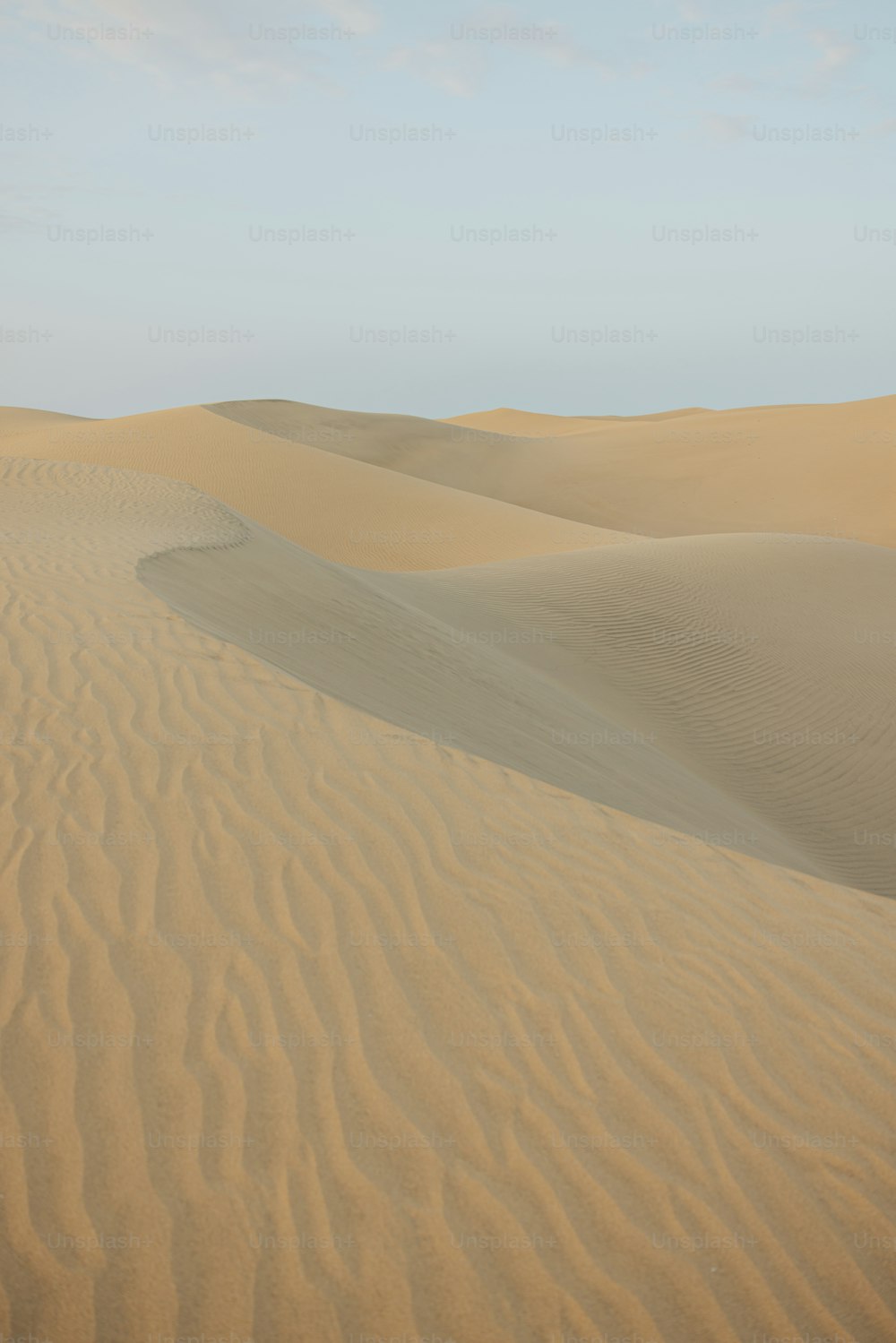 a person riding a horse in the desert