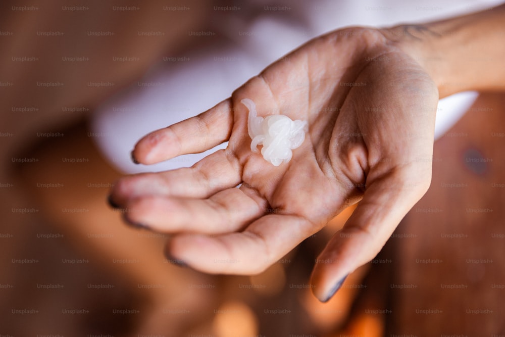 a person holding a small piece of food in their hand