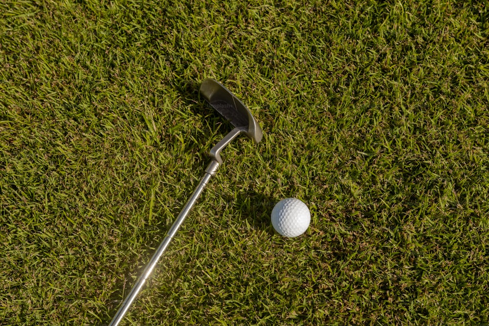 a golf ball and a golf club laying on the grass