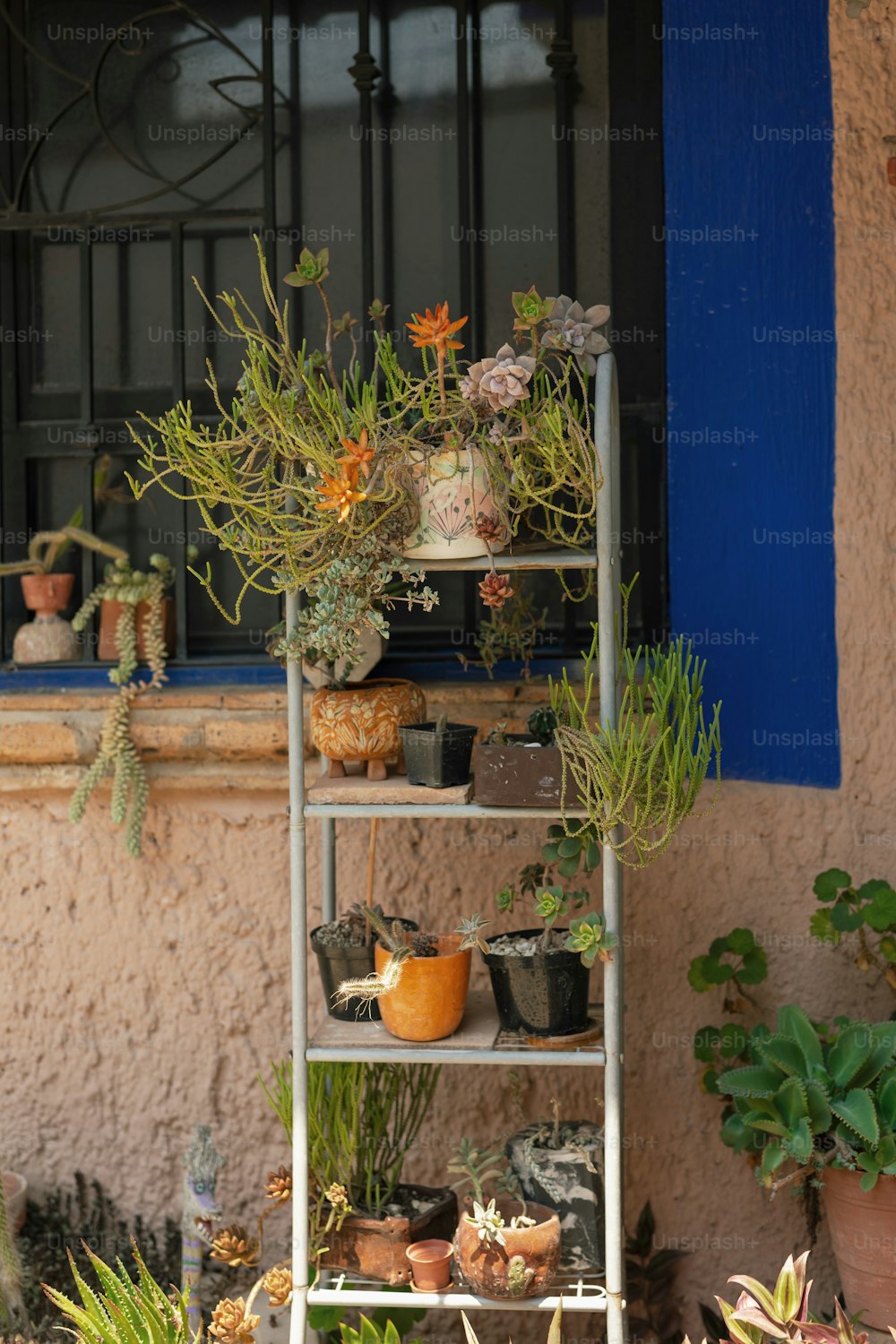 Un estante de metal lleno de plantas en macetas junto a una ventana