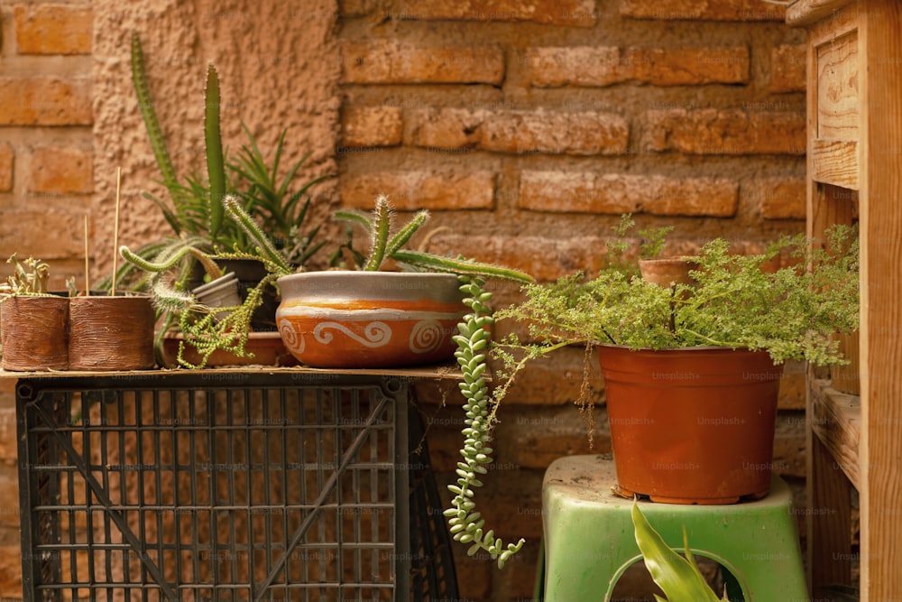 uma mesa coberta com vasos de plantas ao lado de uma parede de tijolos