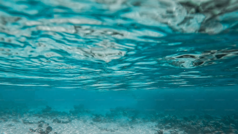 an underwater view of the ocean floor