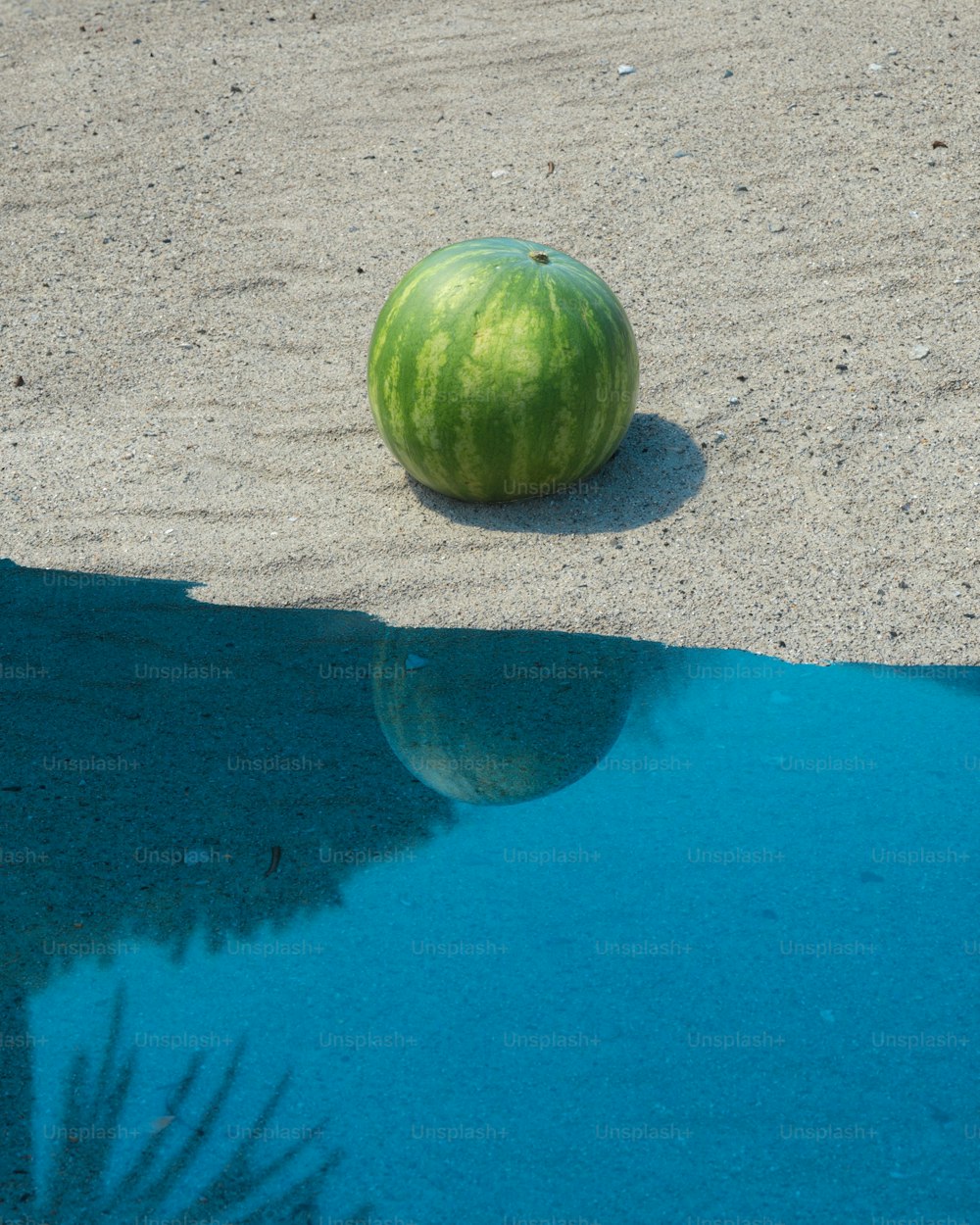 eine Wassermelone, die in der Mitte eines Wasserbeckens sitzt
