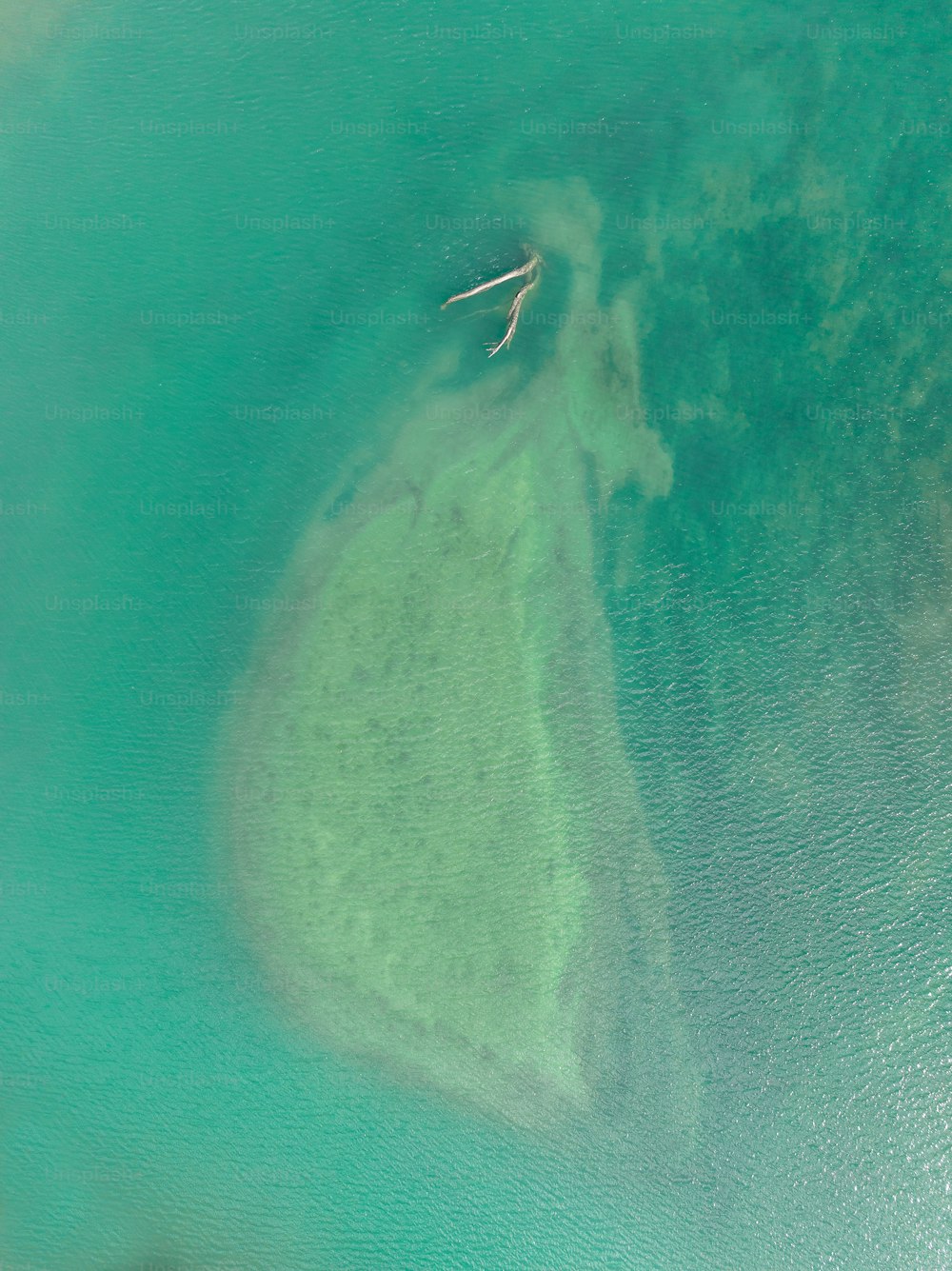 大きな水域の航空写真