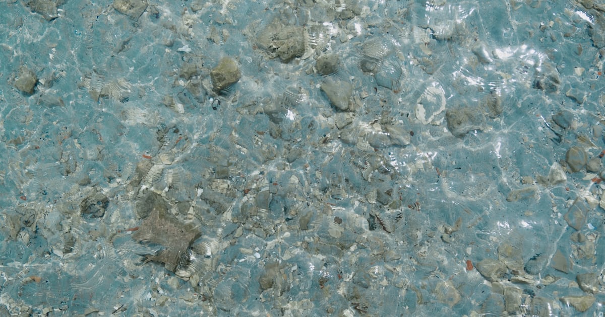 A close up of rocks and water in a body of water photo – Abstract ...