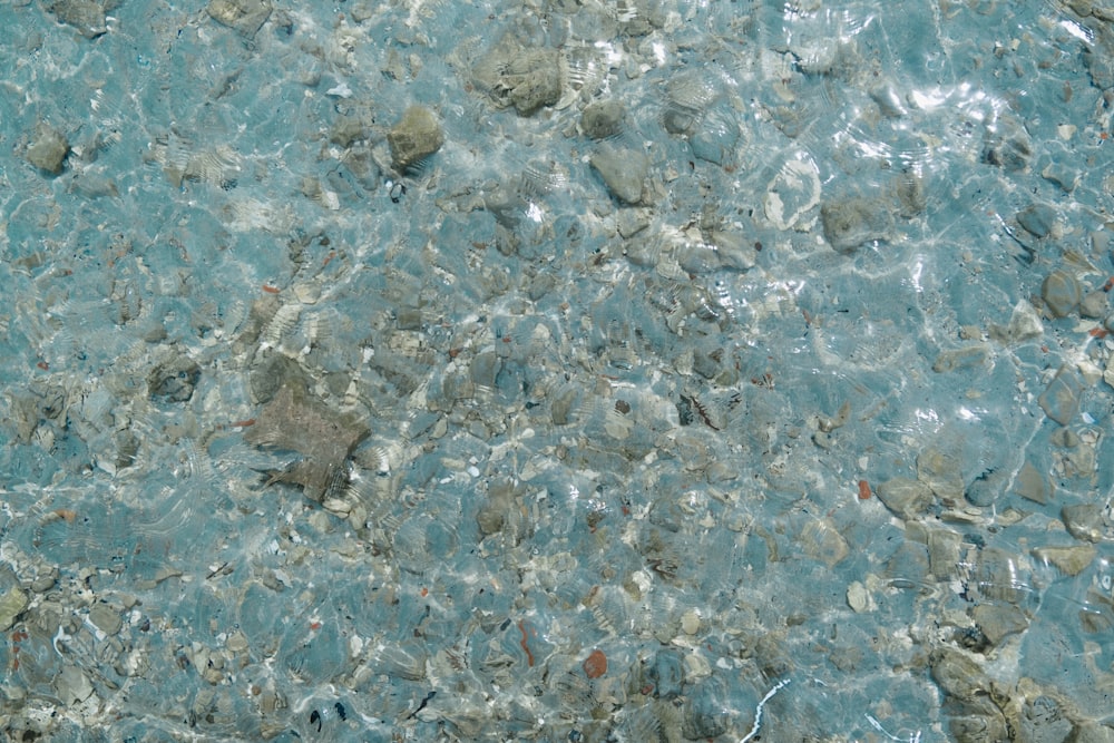 a close up of rocks and water in a body of water