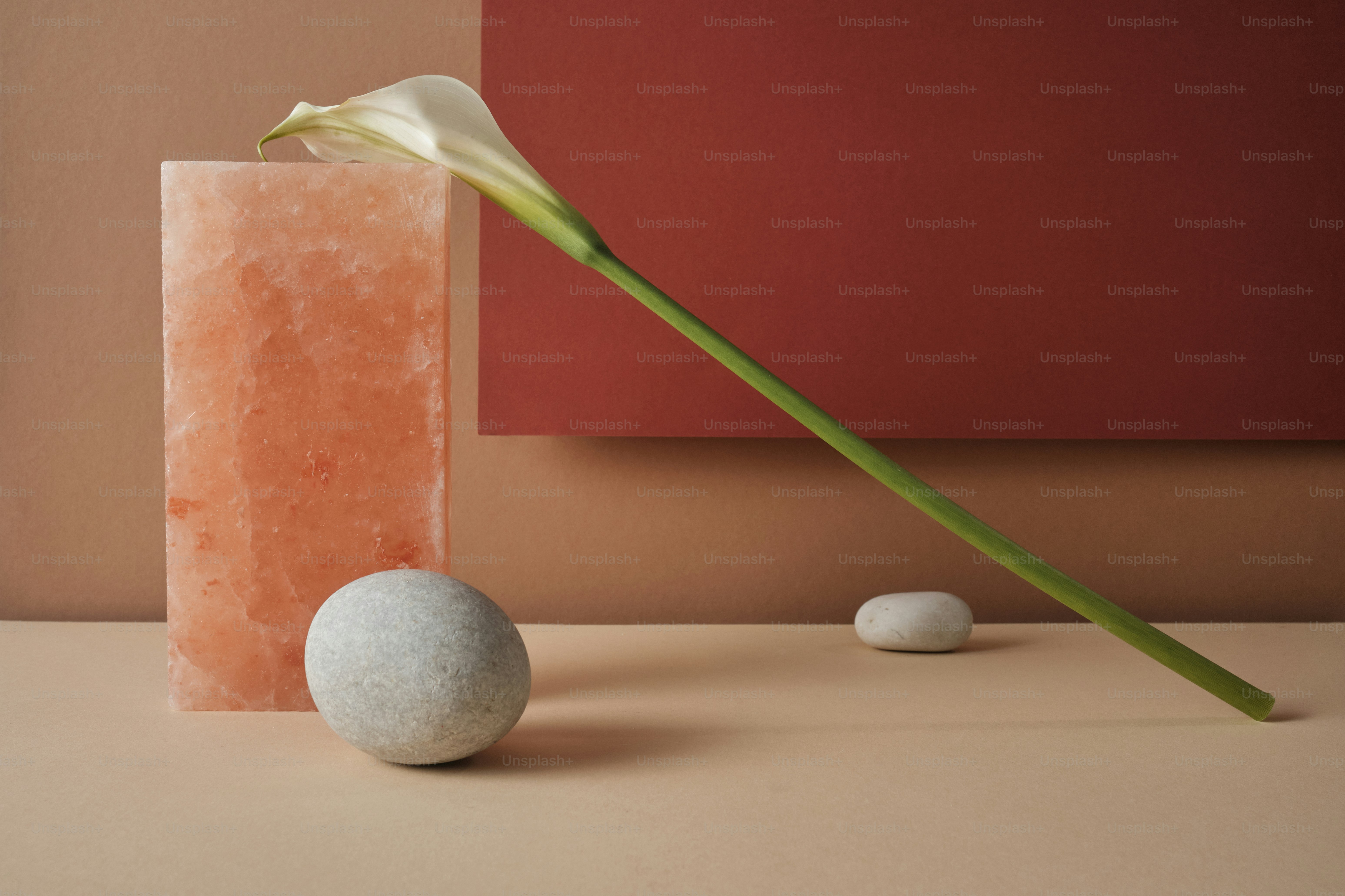 Eine einzelne Blume und ein Stein auf einem Tisch