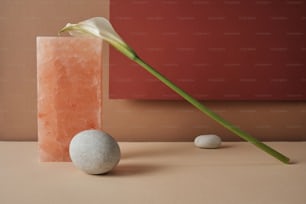 Eine einzelne Blume und ein Stein auf einem Tisch