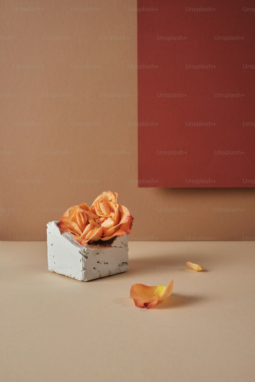 a small white box with orange flowers in it