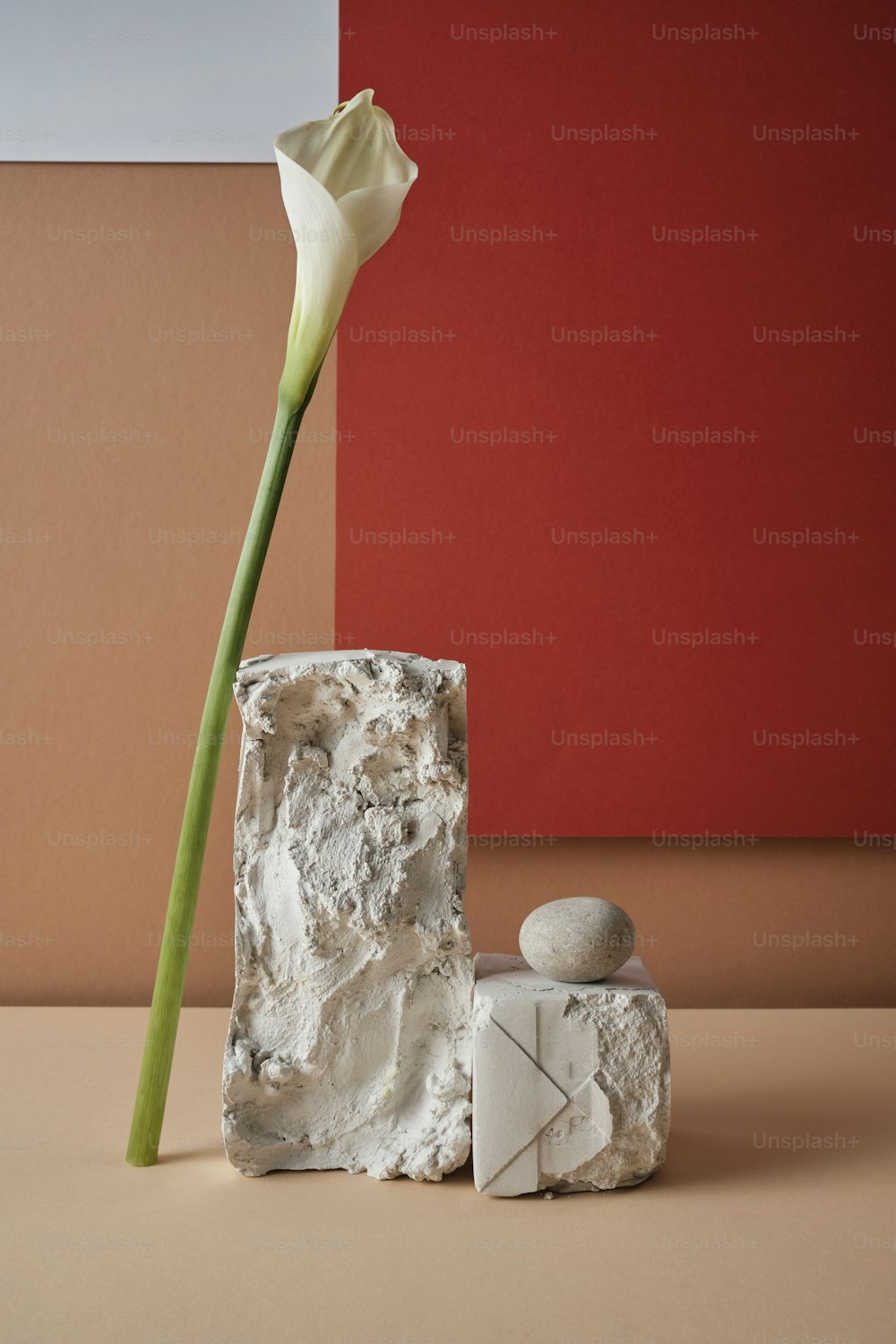 Una flor blanca sentada en un jarrón junto a una roca
