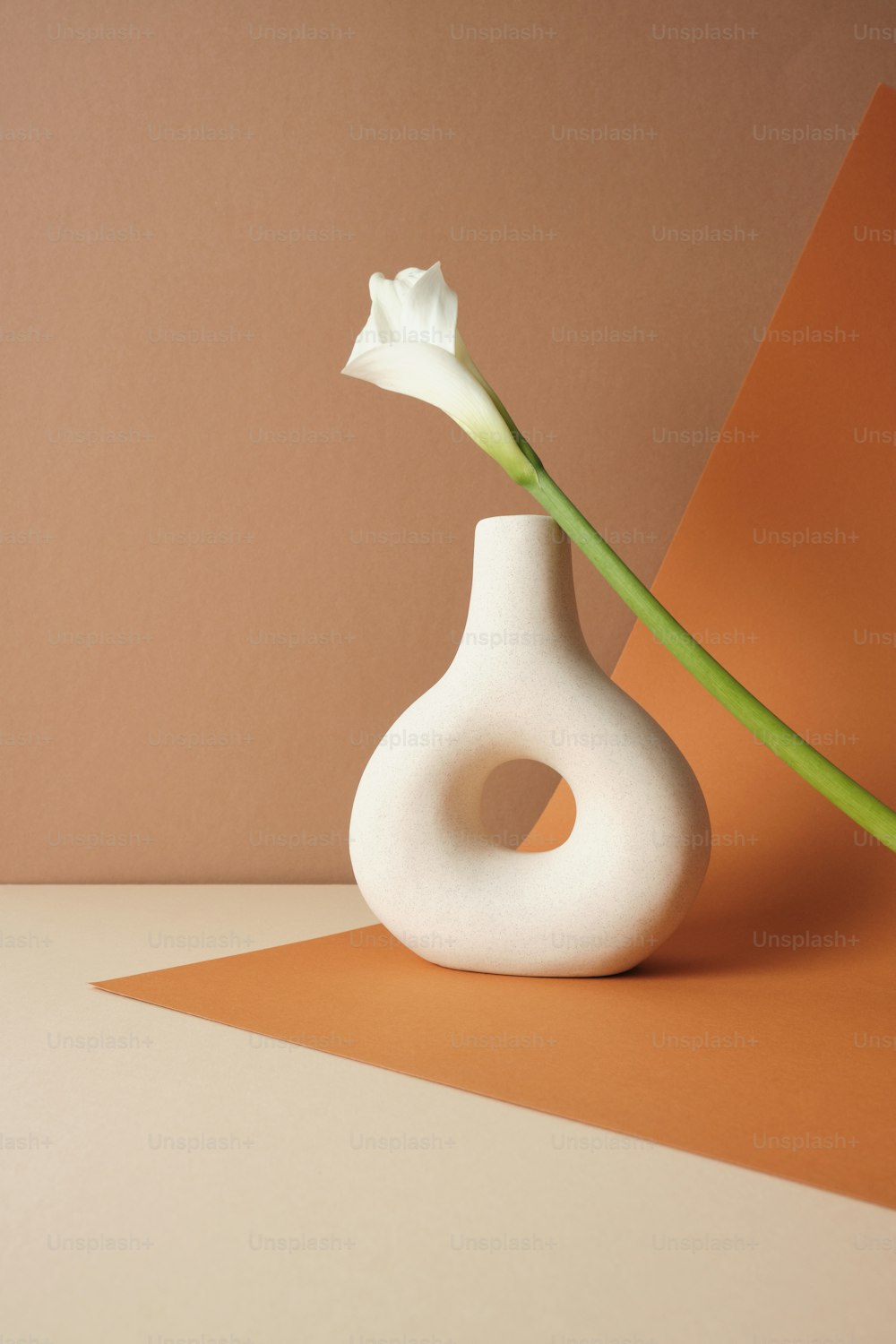 a white vase with a white flower in it