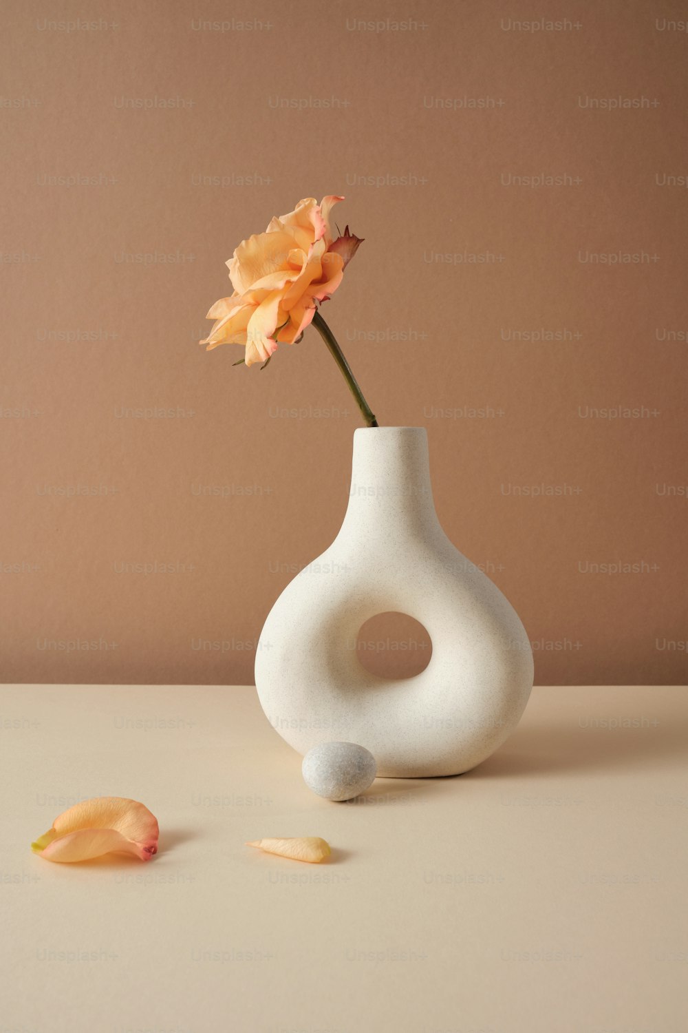 un jarrón blanco con una sola flor en él