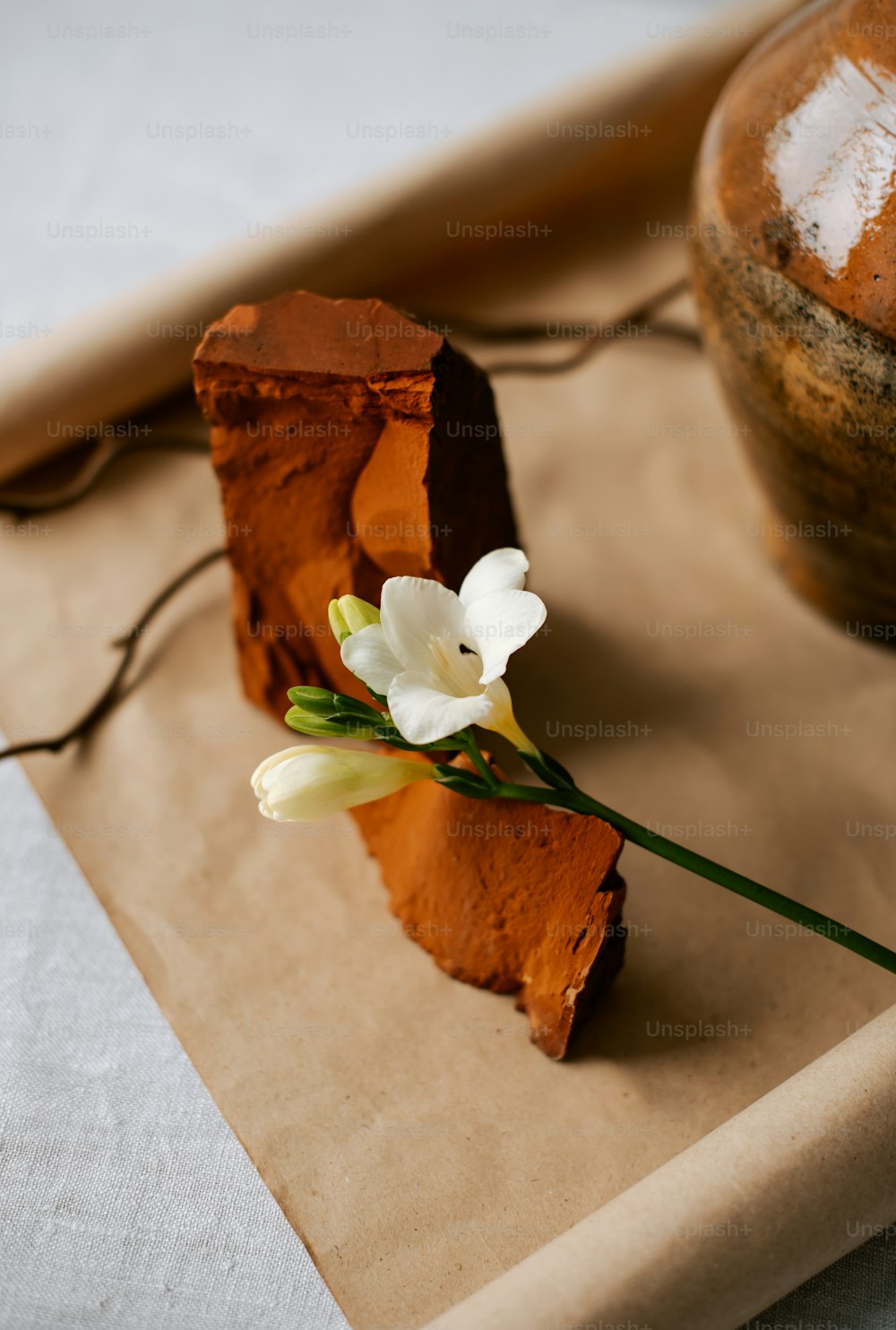 um pedaço de bolo com uma flor em cima dele