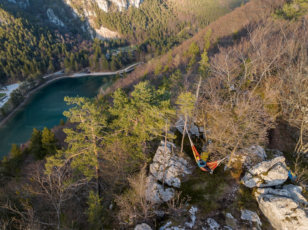 a hammock hanging from a tree on a cliff