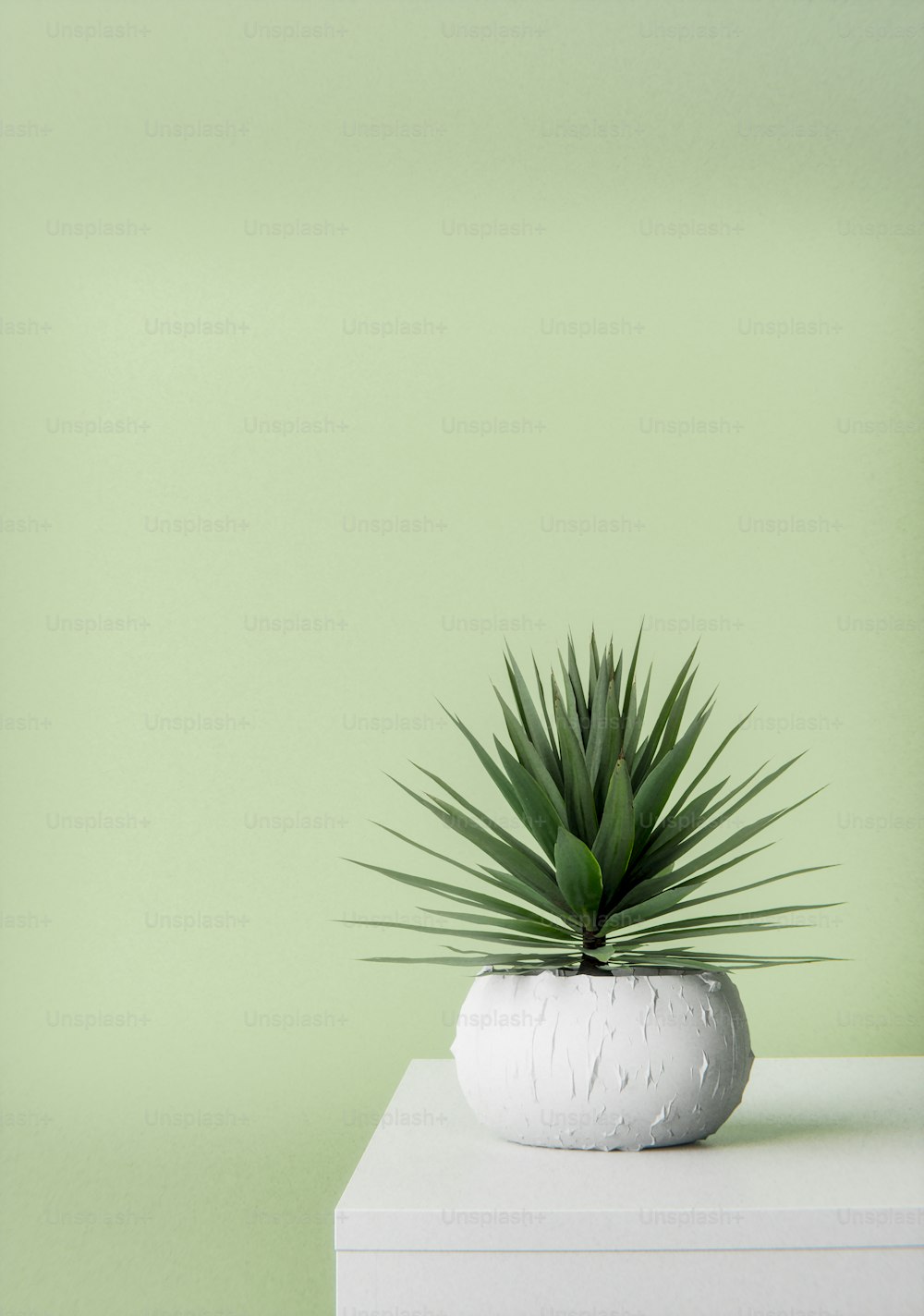 a white planter sitting on top of a white table