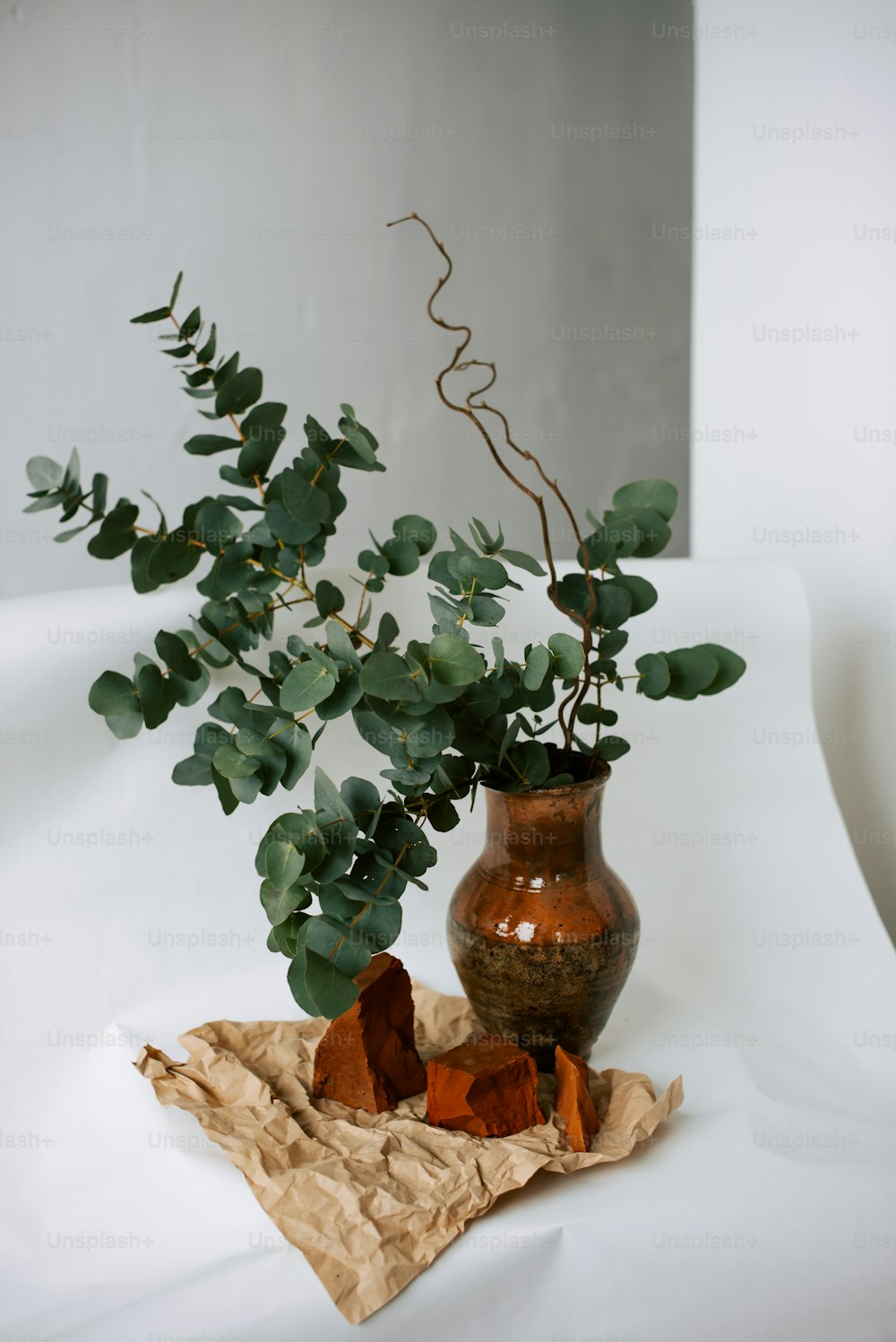um vaso com uma planta sentada em uma mesa