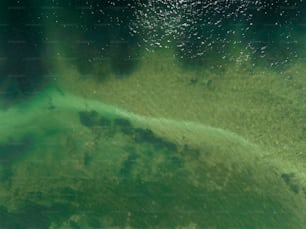 uma vista aérea de um corpo de água
