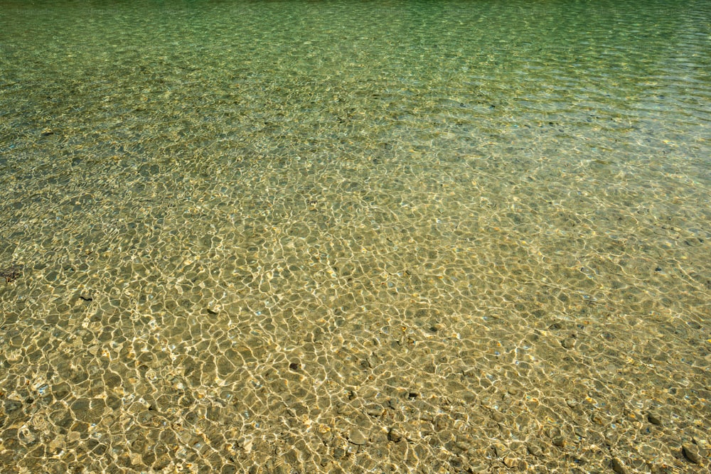 Ein Boot, das auf einem Gewässer schwimmt