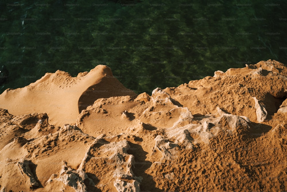 a bird is sitting on a rock by the water