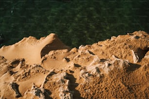 a bird is sitting on a rock by the water