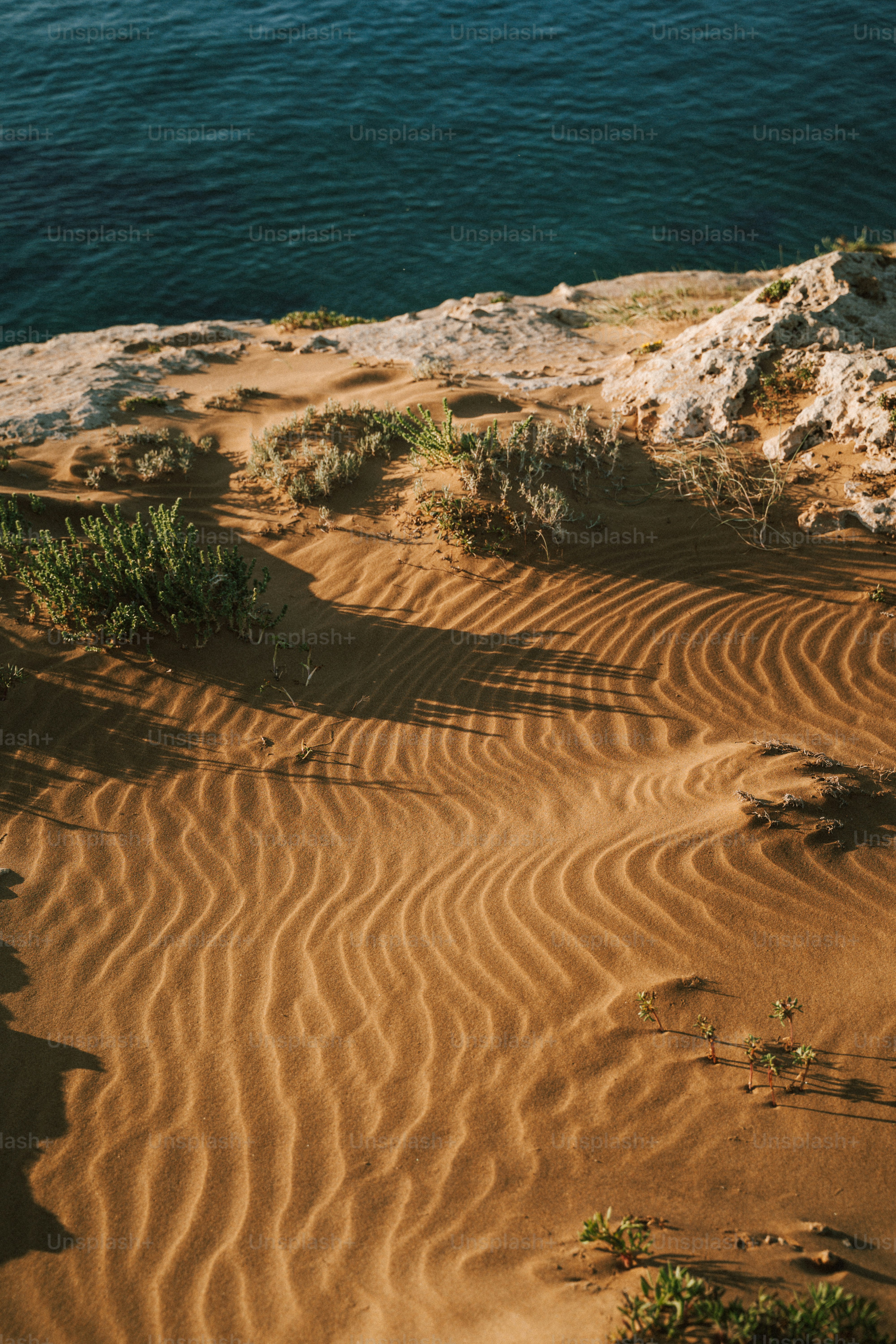 eine Person, die auf einem Pferd an einem Sandstrand reitet