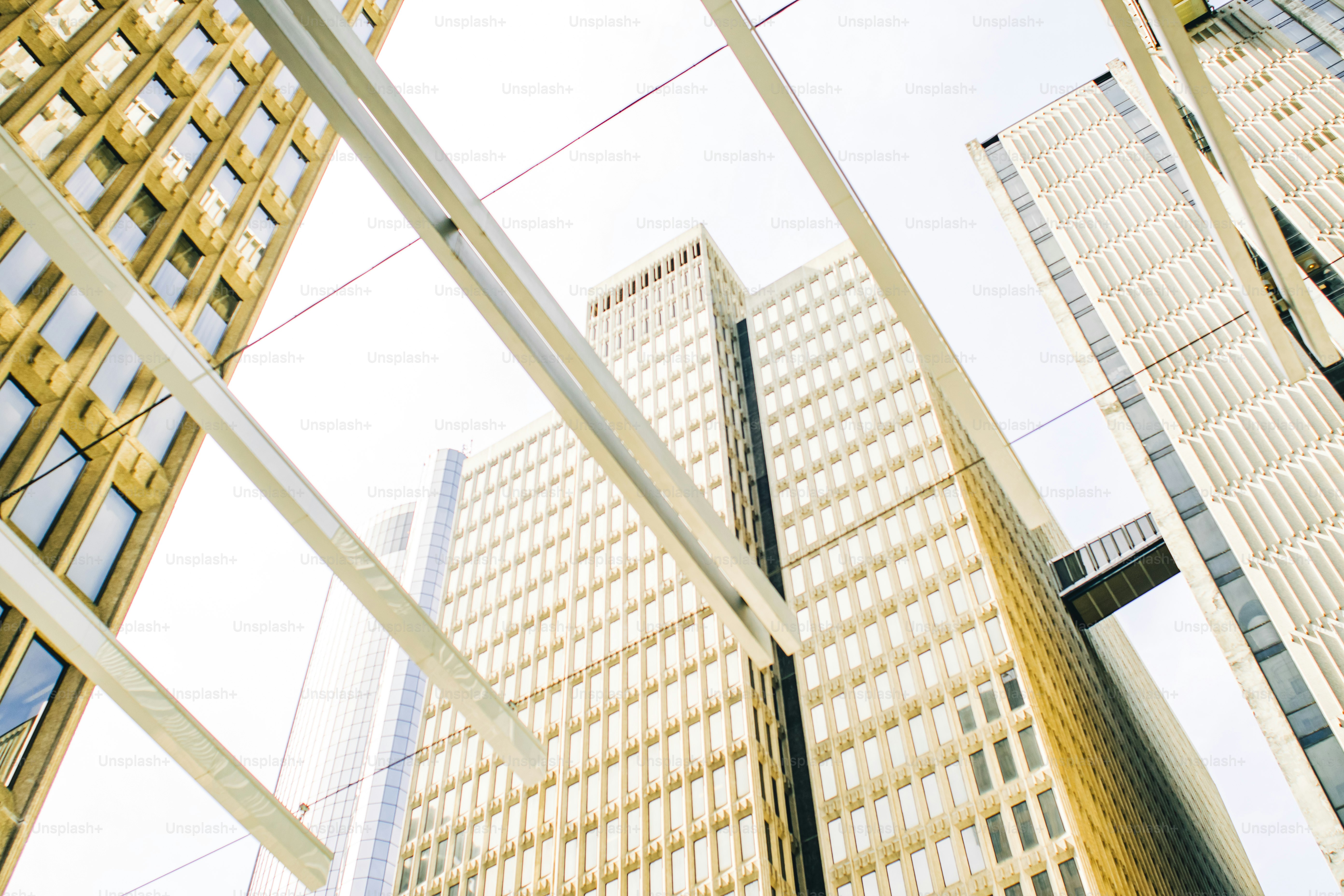 나란히 있는 고층 빌딩 그룹