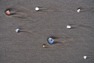 a group of shells sitting on top of a sandy beach