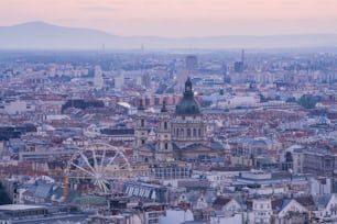 a view of a city with a ferris wheel in the foreground