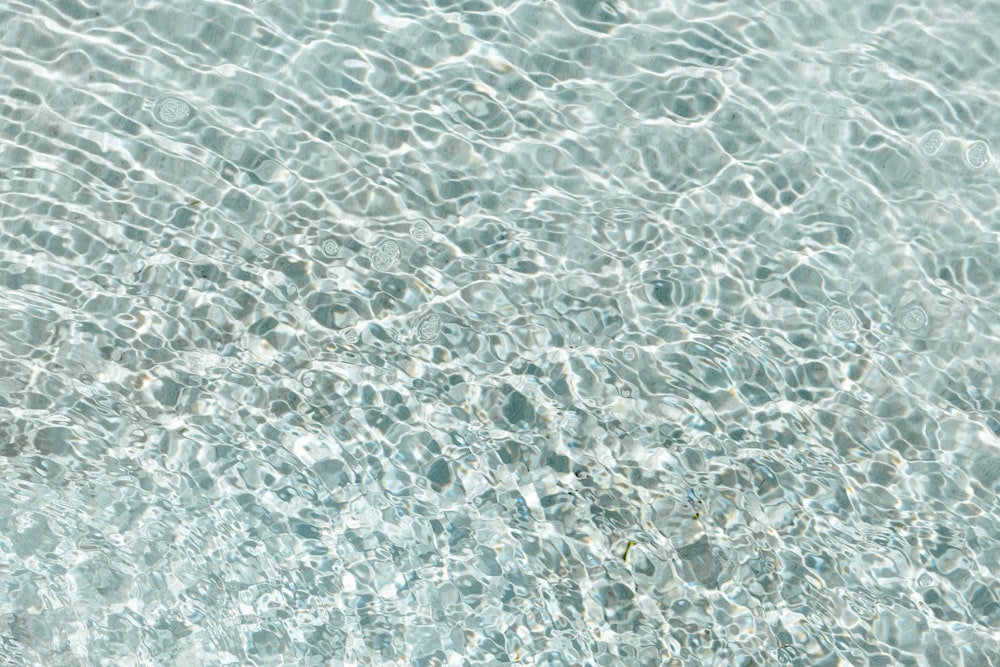 a close up of a pool of water