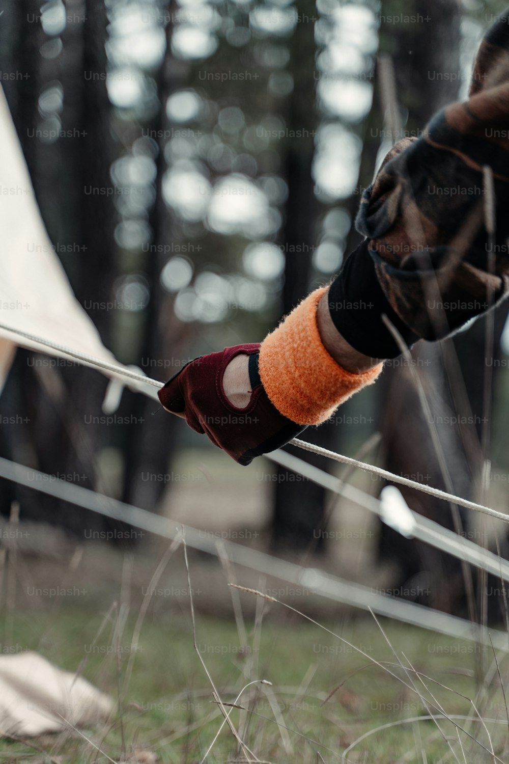 a pair of hands holding a rope in a forest