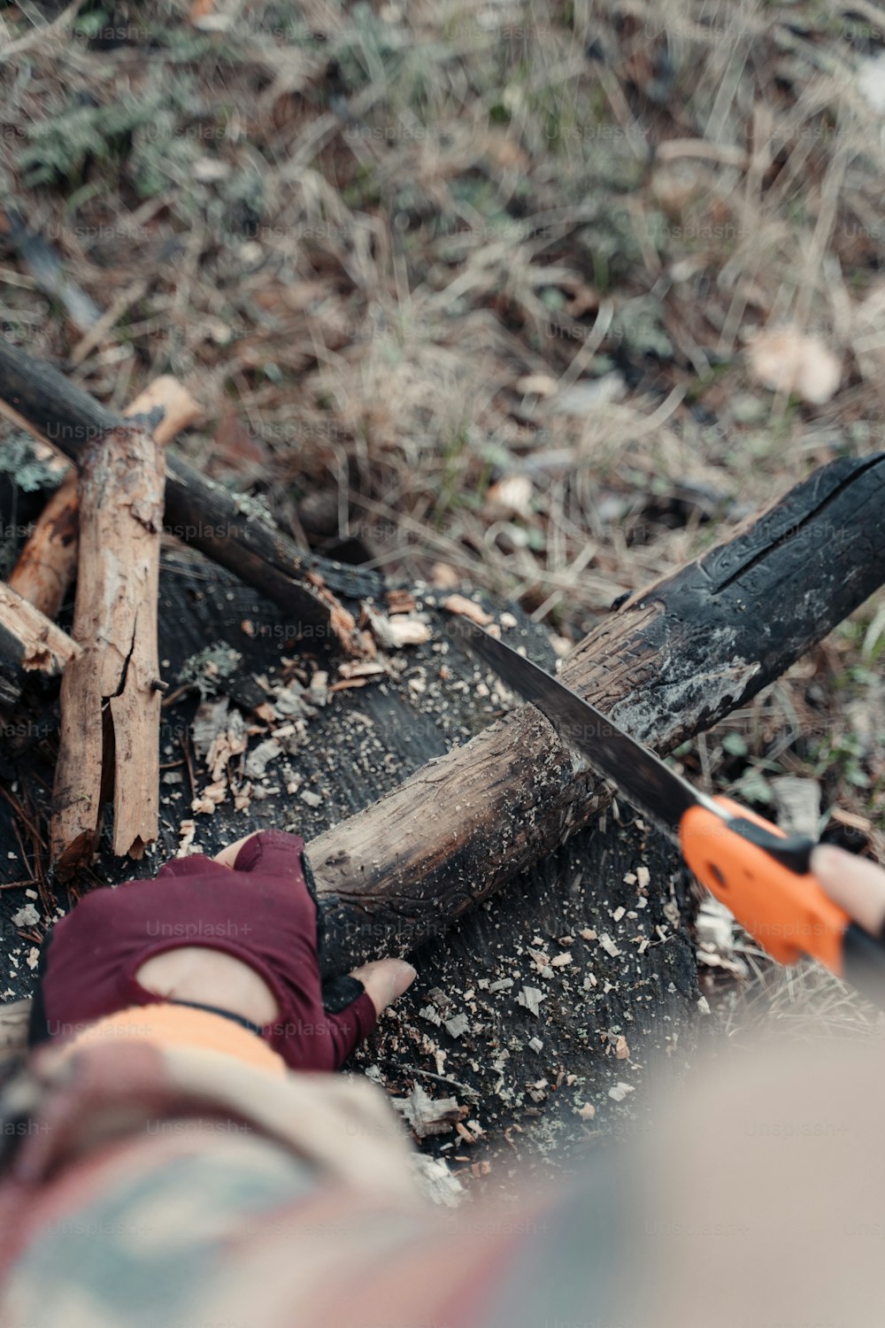 un paio di forbici adagiate sopra una catasta di legna