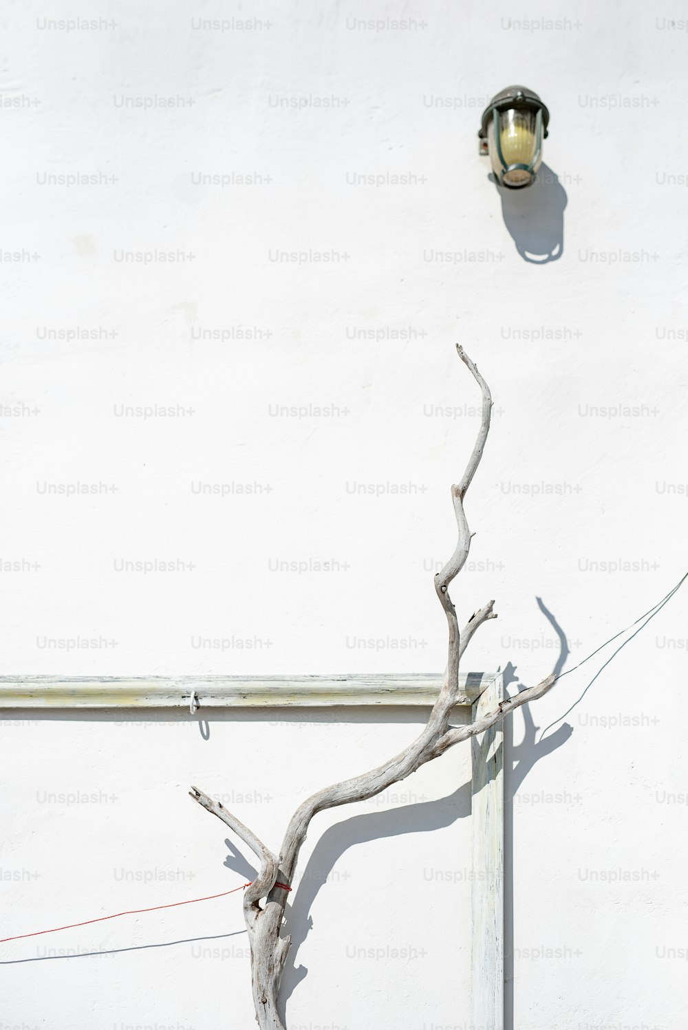 a white wall with a light and a tree branch