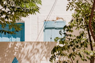 a white building with blue shutters and a tree in front of it