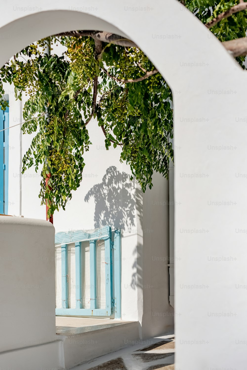 a white building with a blue door and a tree