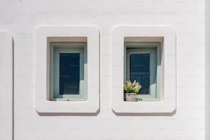 Ein weißes Gebäude mit zwei Fenstern und einer Topfpflanze