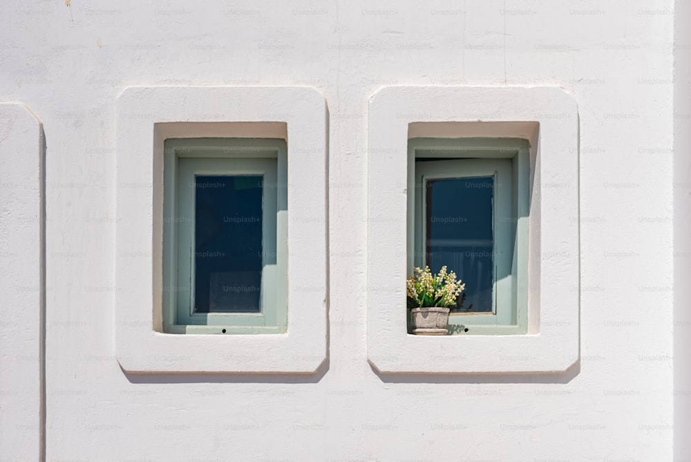 a white building with two windows and a potted plant