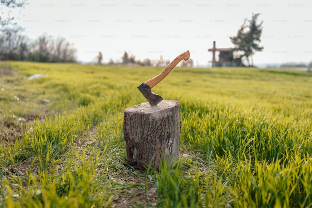 un'ascia conficcata in un ceppo d'albero in un campo