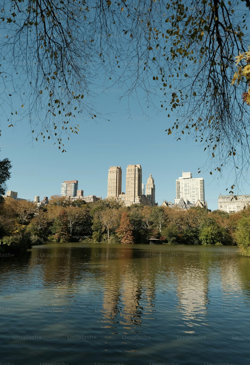 a body of water surrounded by tall buildings