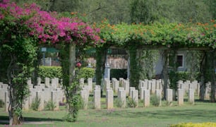 Un cementerio con muchas lápidas y flores creciendo en él
