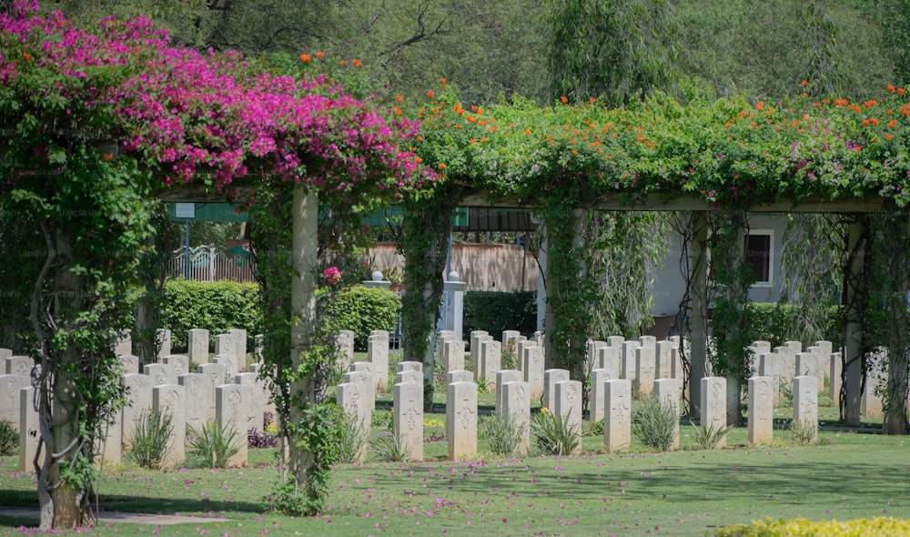 a cemetery with many headstones and flowers growing on it