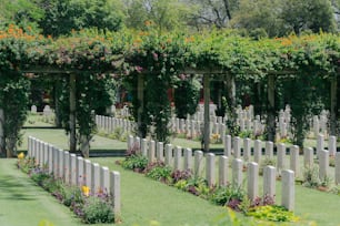 un cementerio con un ramo de flores creciendo sobre él
