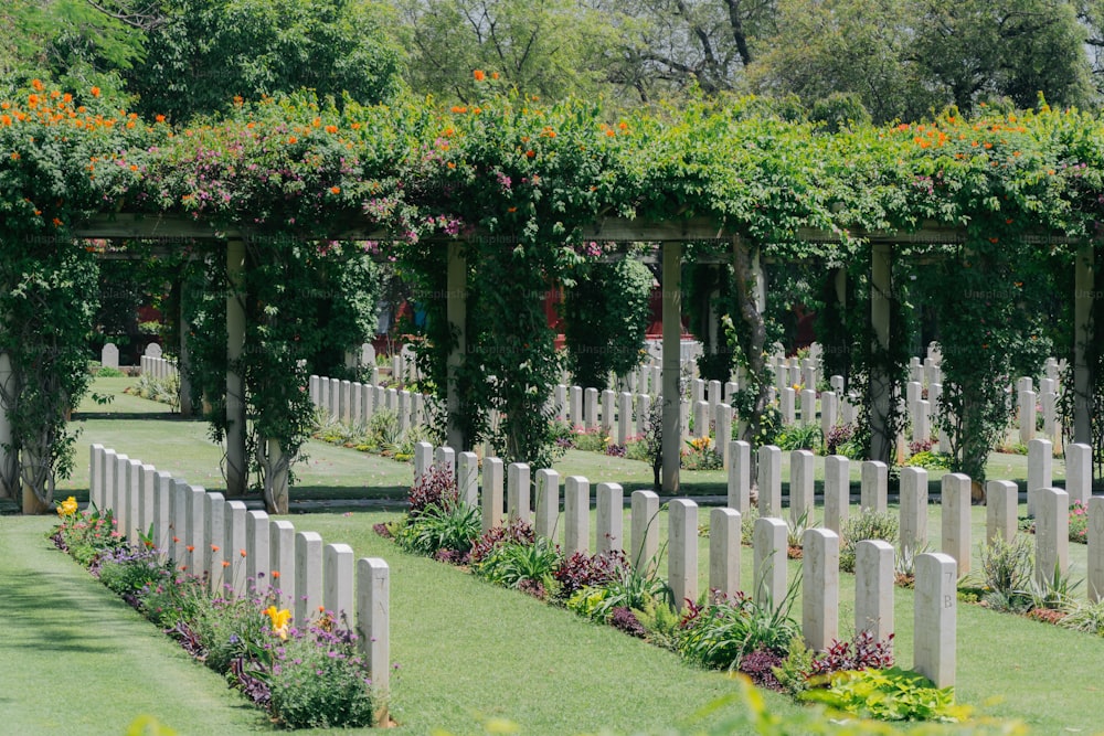 Un cimitero con un mazzo di fiori che crescono sopra di esso