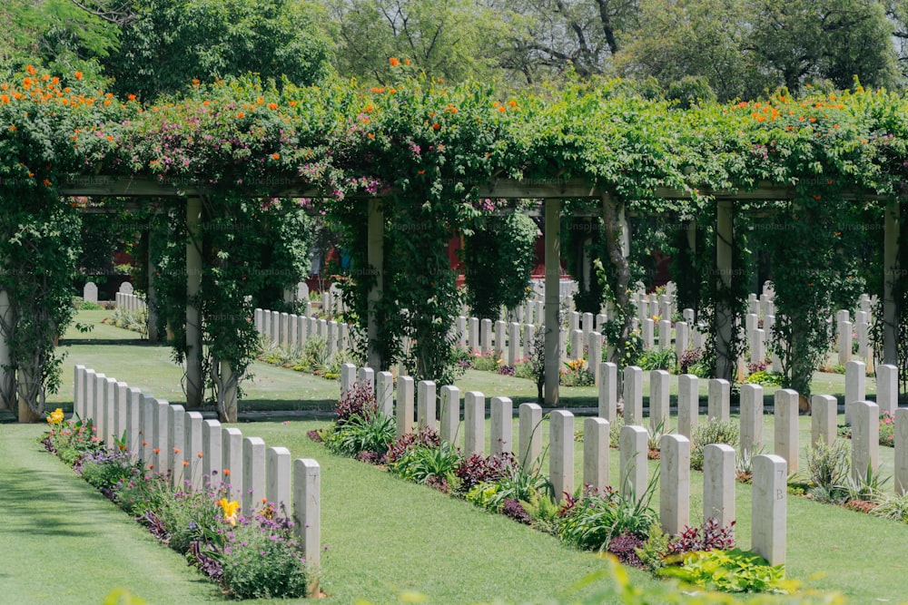 a cemetery with a bunch of flowers growing over it